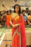 Nikesha Patel At Chennai Shopping Mall - 79 of 111