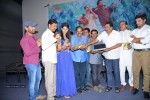 Niluvave Vaalu Kanula Daana Audio Launch - 11 of 41