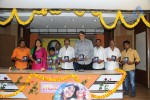 Nirnayam Audio Launch - 9 of 39