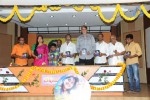 Nirnayam Audio Launch - 17 of 39