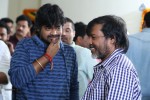 NTR New Movie Opening Photos - 80 of 108