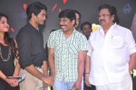 nuvve-naa-bangaram-audio-launch