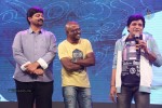 oka-laila-kosam-audio-success-meet-03