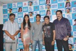 oka-laila-kosam-success-meet