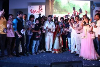 Okkaditho Modalaindi Audio Launch Photos - 9 of 14