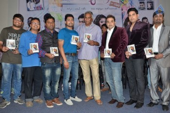 Padamati Sandhya Ragam Audio Launch - 14 of 28