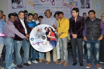 Padamati Sandhya Ragam Audio Launch - 20 of 28