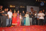 Panjaa Movie Audio Launch Set 5 - 27 of 94