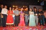 Panjaa Movie Audio Launch Set 5 - 30 of 94