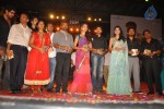 Panjaa Movie Audio Launch Set 5 - 66 of 94