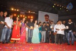 Panjaa Movie Audio Launch Set 5 - 73 of 94