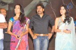 Panjaa Movie Audio Launch Set 5 - 92 of 94