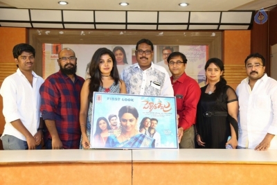 Pelli Roju Movie First Look Launch - 5 of 15