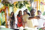 pilavani-perantam-movie-opening