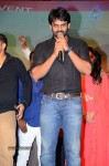 pilla-nuvvuleni-jeevitham-audio-success-meet