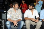 pilla-nuvvuleni-jeevitham-success-meet-01