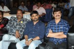 Pilla Nuvvuleni Jeevitham Success Meet 02 - 54 of 95