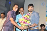 Pilla Zamindar Movie Audio Launch - 56 of 66