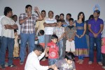 Pilla Zamindar Movie Success Meet - 32 of 115