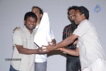 Pilla Zamindar Movie Success Meet - 42 of 115