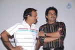 Pilla Zamindar Movie Success Meet - 44 of 115