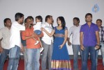 Pilla Zamindar Movie Success Meet - 57 of 115