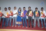 Pilla Zamindar Movie Success Meet - 60 of 115