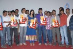 Pilla Zamindar Movie Success Meet - 65 of 115