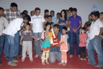 Pilla Zamindar Movie Success Meet - 78 of 115