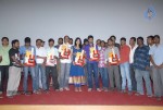 Pilla Zamindar Movie Success Meet - 80 of 115