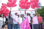pink-ribbon-walk-2010