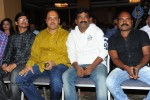 Poola Rangadu Movie Audio Launch  - 40 of 114