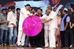 Prabhanjanam Audio Launch 02 - 57 of 108