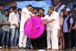 Prabhanjanam Audio Launch 02 - 81 of 108