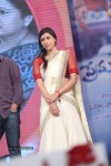 prema-geema-jantha-nai-audio-launch-03