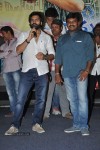 Prema Geema Jantha Nai Success Meet - 68 of 94