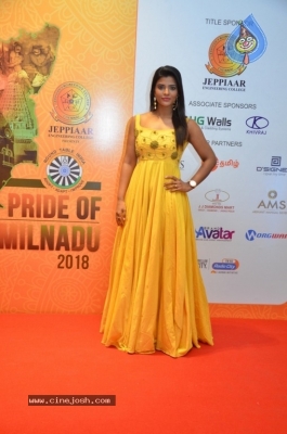 Pride of Tamilnadu Awards 2018 Photos - 19 of 19