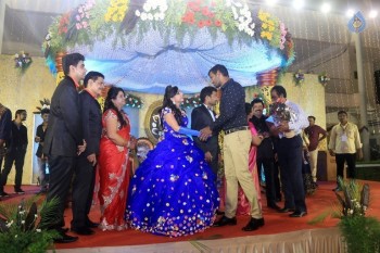 Prithvi Rajan Wedding Reception - 7 of 49