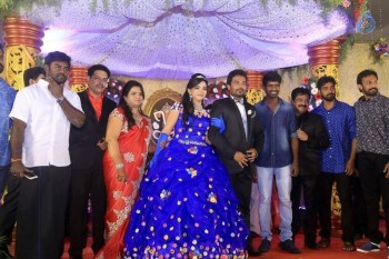 Prithvi Rajan Wedding Reception - 13 of 49