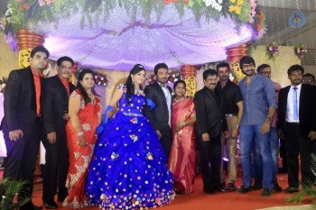Prithvi Rajan Wedding Reception - 15 of 49