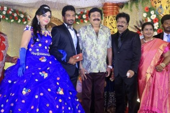 Prithvi Rajan Wedding Reception - 16 of 49