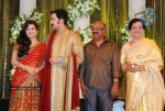 Prithviraj Wedding Reception Photos - 8 of 94