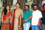 Prithviraj Wedding Reception Photos - 30 of 94