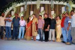 Prithviraj Wedding Reception Photos - 51 of 94