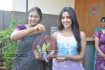 Priya Anand Launched DesiTwits.com - 1 of 58