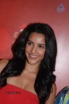 Priya Anand Valentines Day Celebrations - 22 of 38