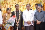 Producer P Kannappan Daughter Wedding Photos  - 1 of 34