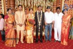 Producer P Kannappan Daughter Wedding Photos  - 5 of 34