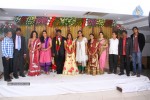 Producer Sudhakar Son Wedding Reception - 3 of 10