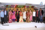 Producer Sudhakar Son Wedding Reception - 9 of 10